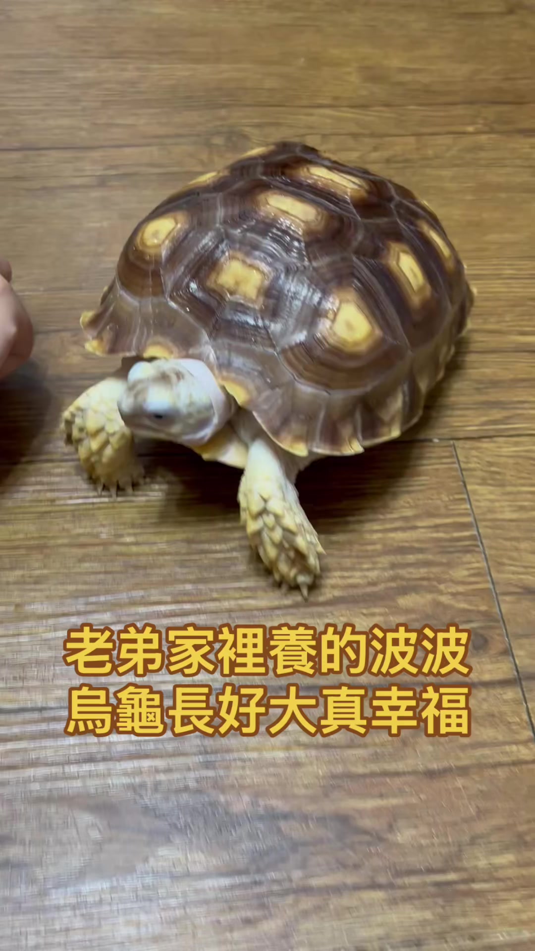 @TeacherSharon