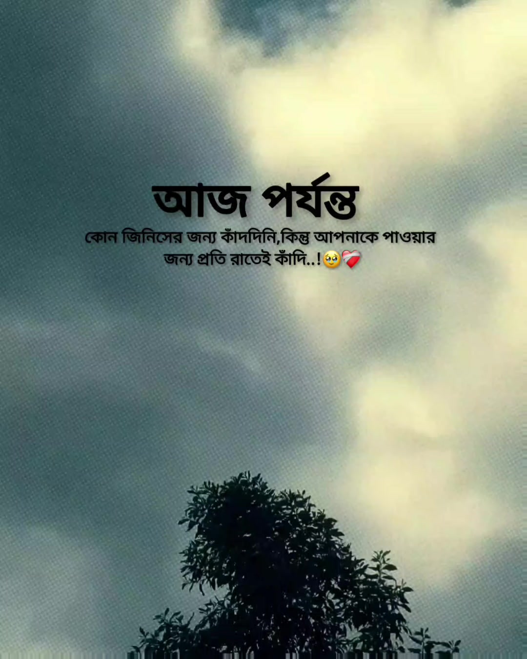 @Rakib Khan