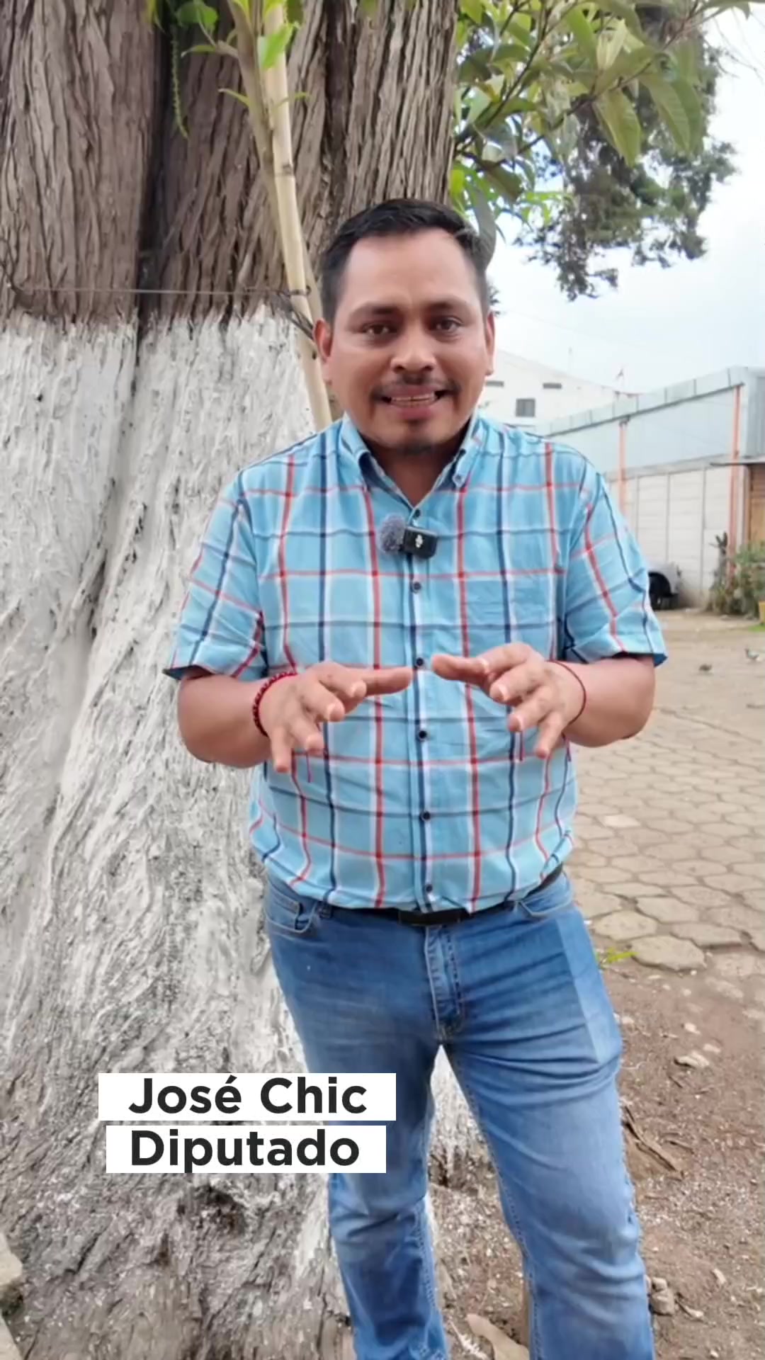 @José Chic