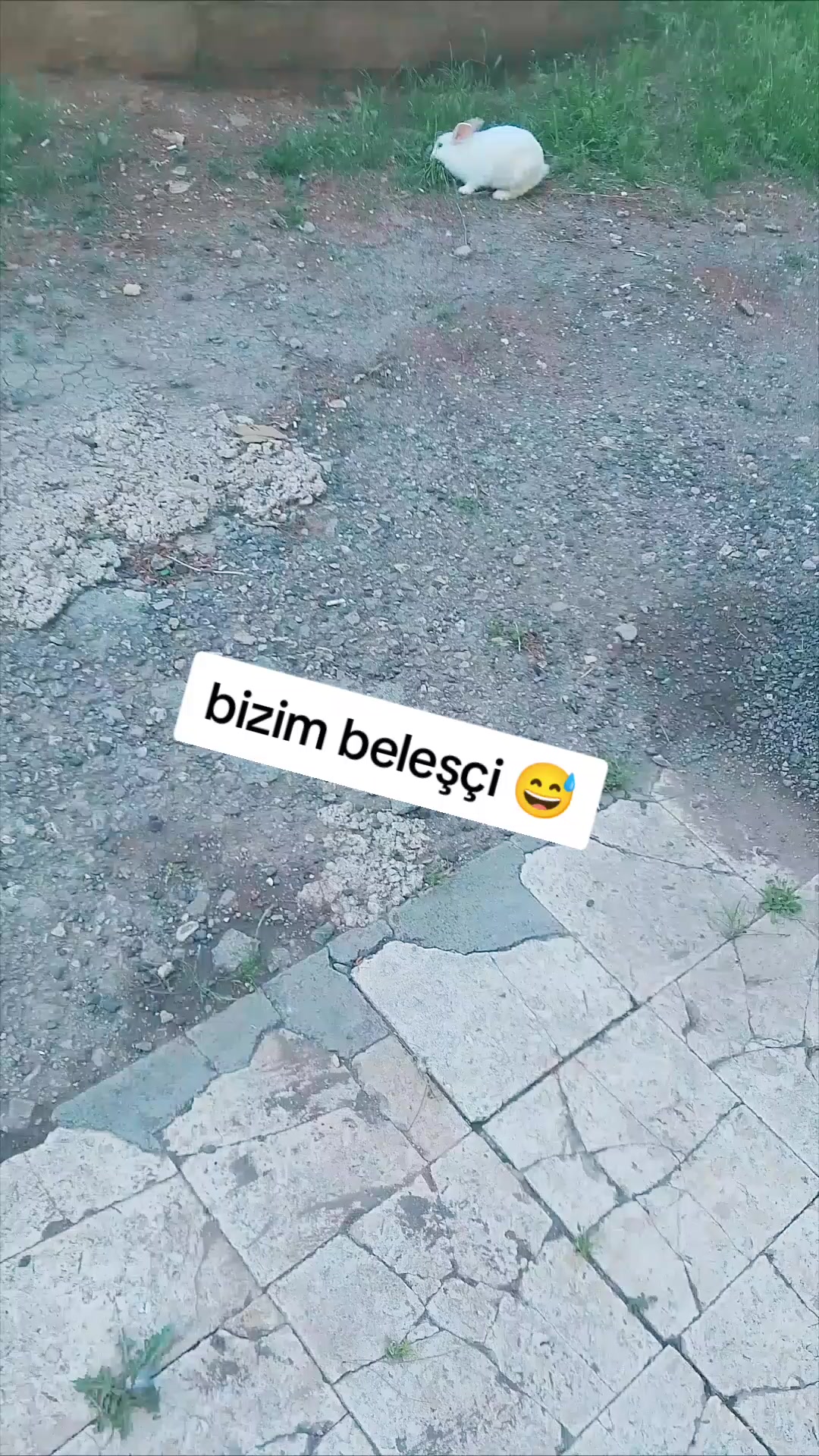 @sakarya_fırat_🇹🇷