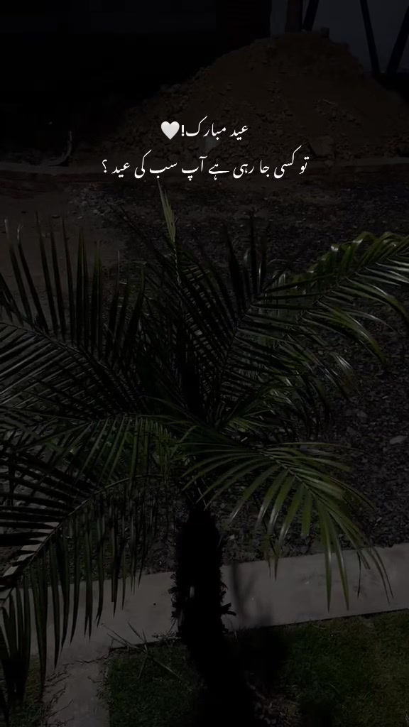 @🚩