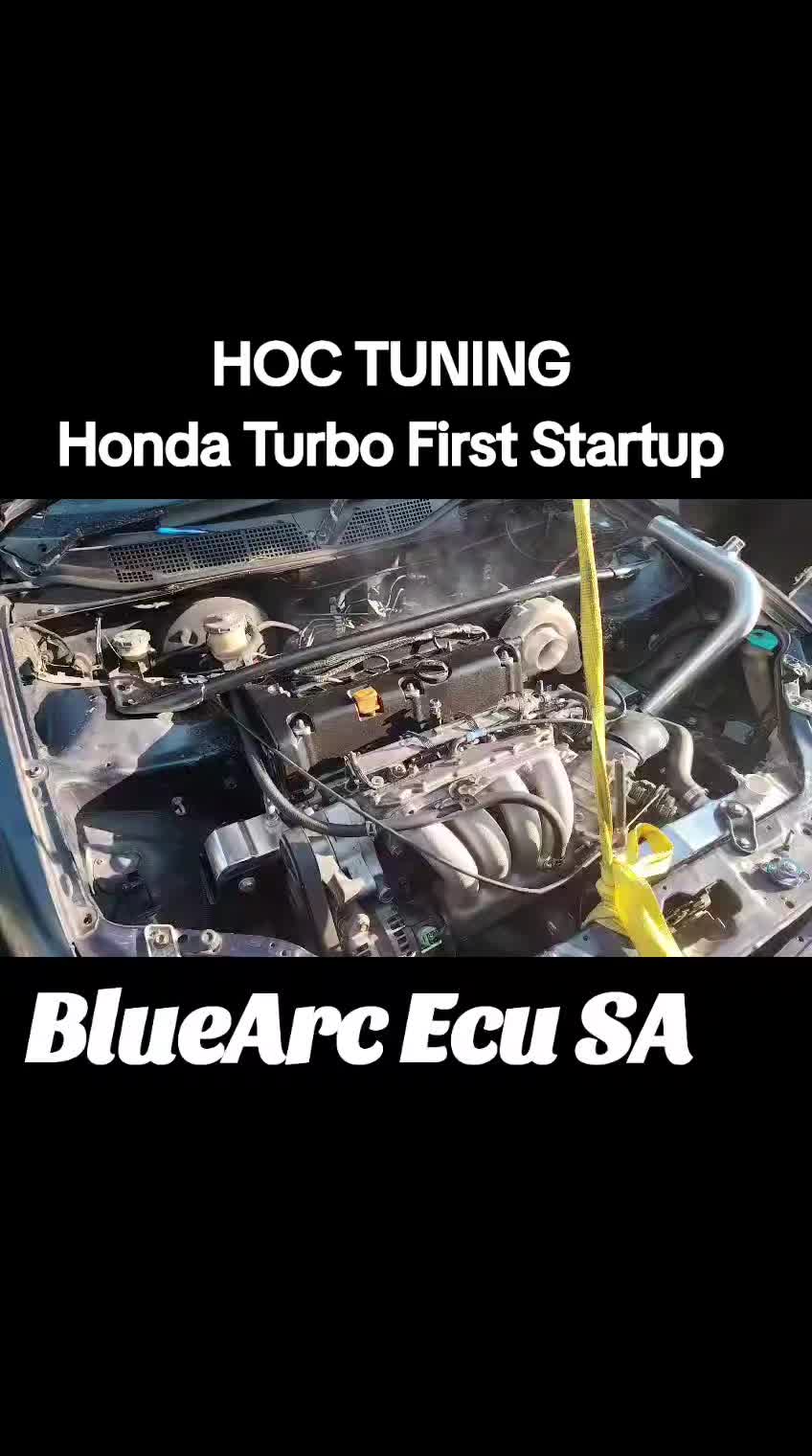 @BlueArc Ecu South Africa