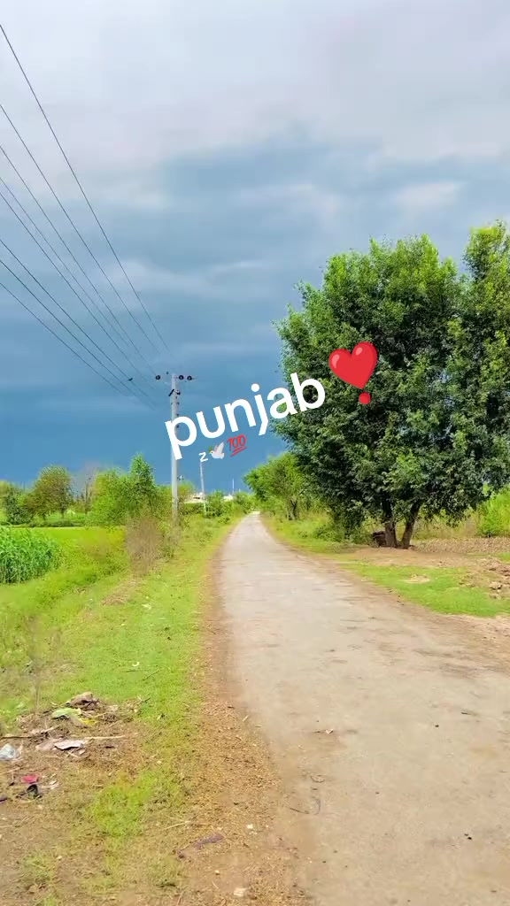 @پہلوان راجہ ذیشان(دینہ)