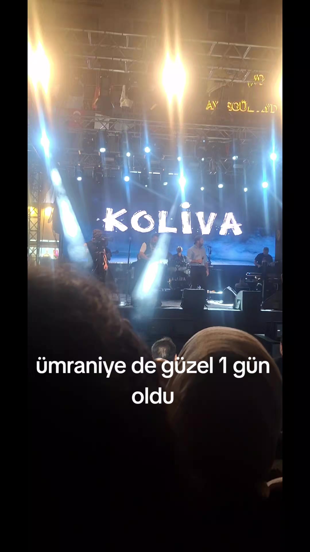 @masalın toplu iğnesi
