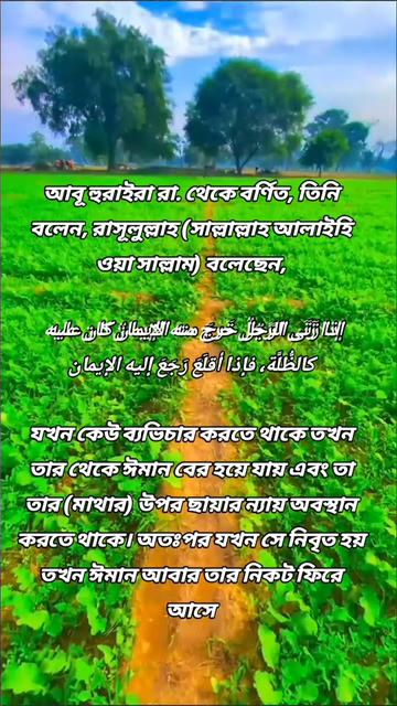 @উম্মতে মুহাম্মদী