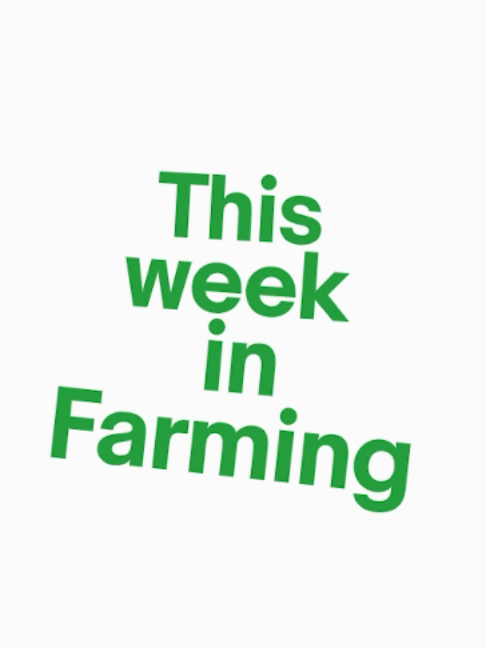 @Young Farmer