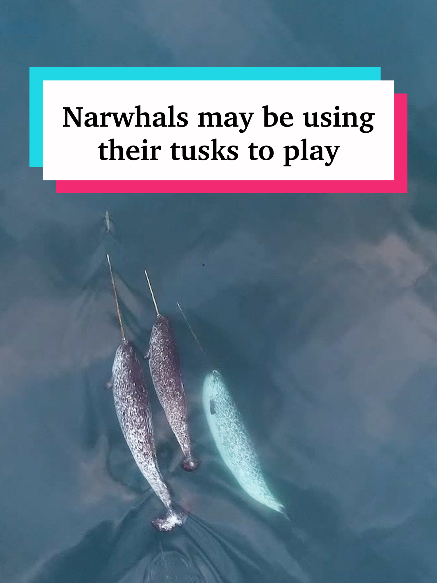 @Science News