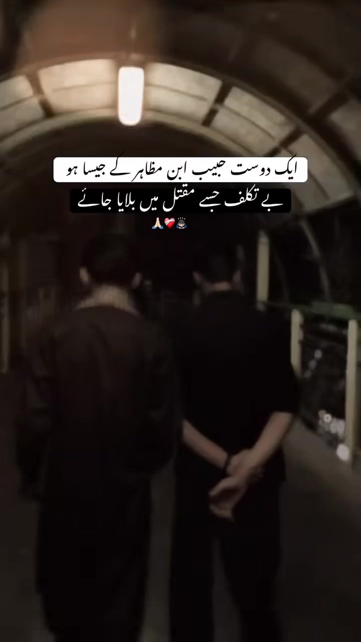 @Sayed Zada❤️🩹