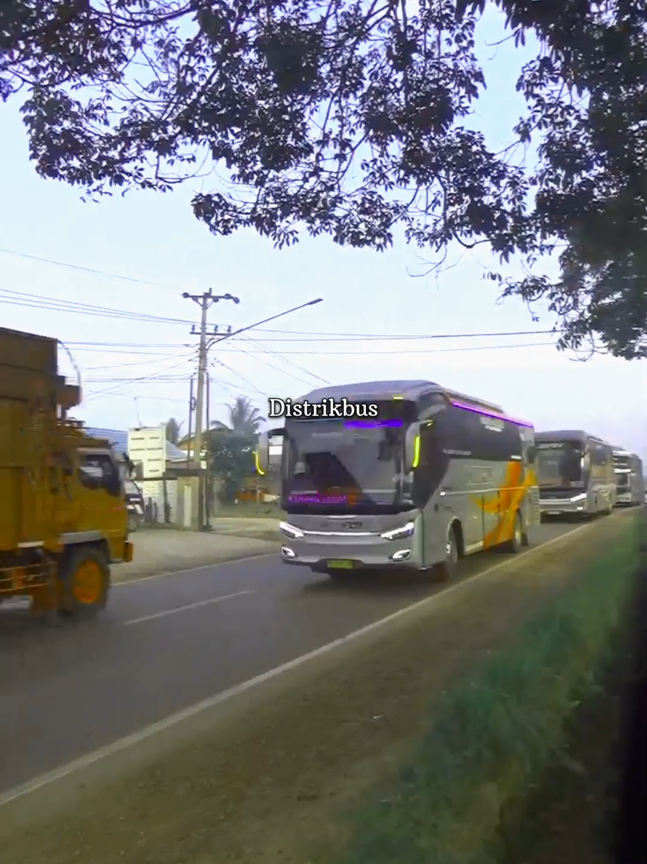 @Distrikbus