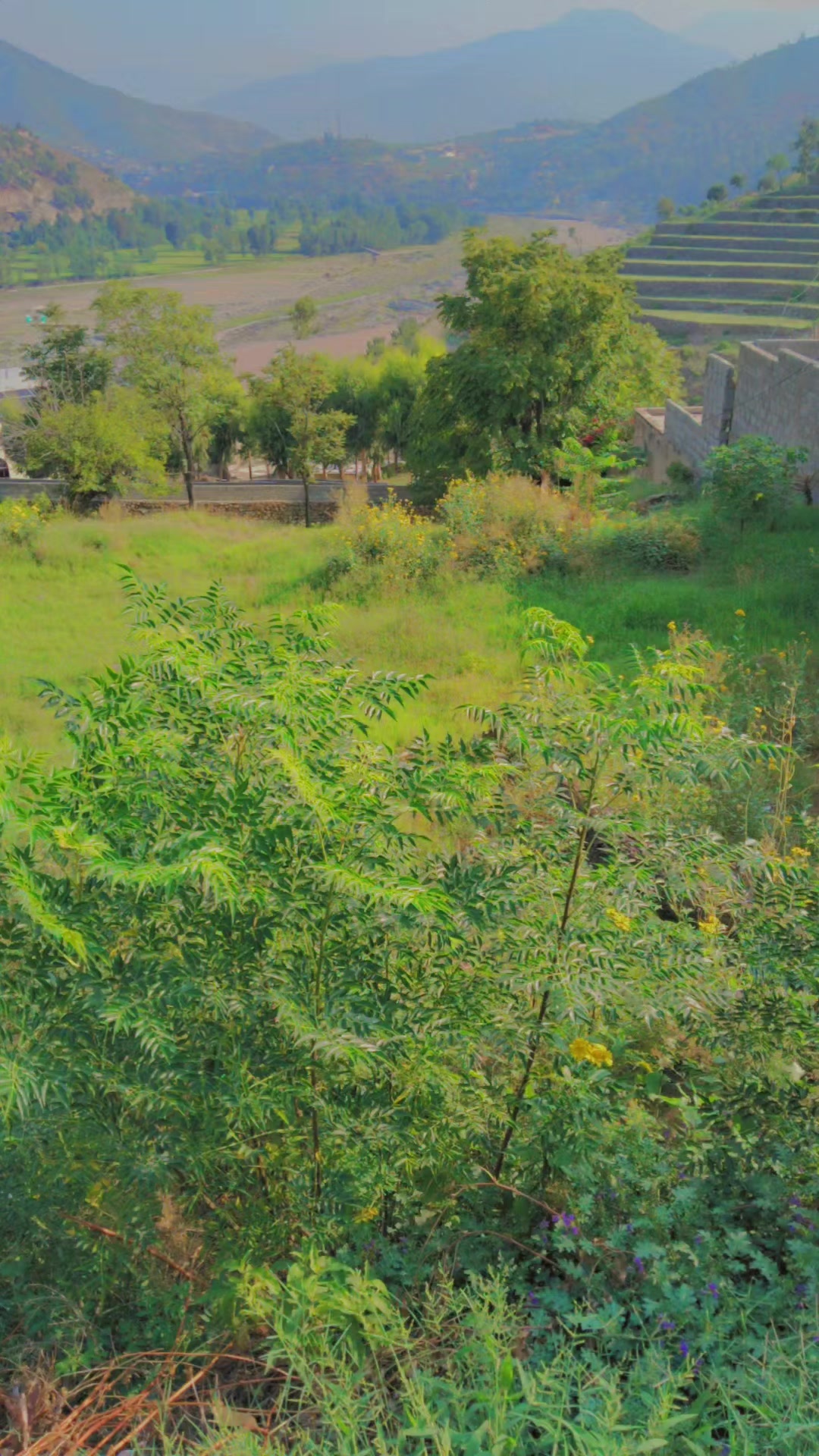 @SAMI ULLAH NASAR