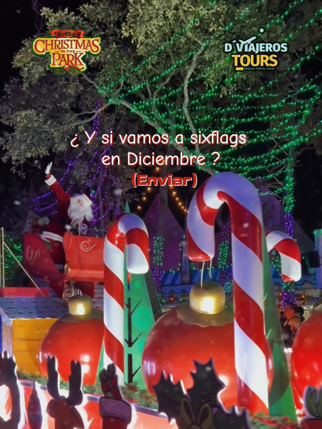 @Dviajeros tours