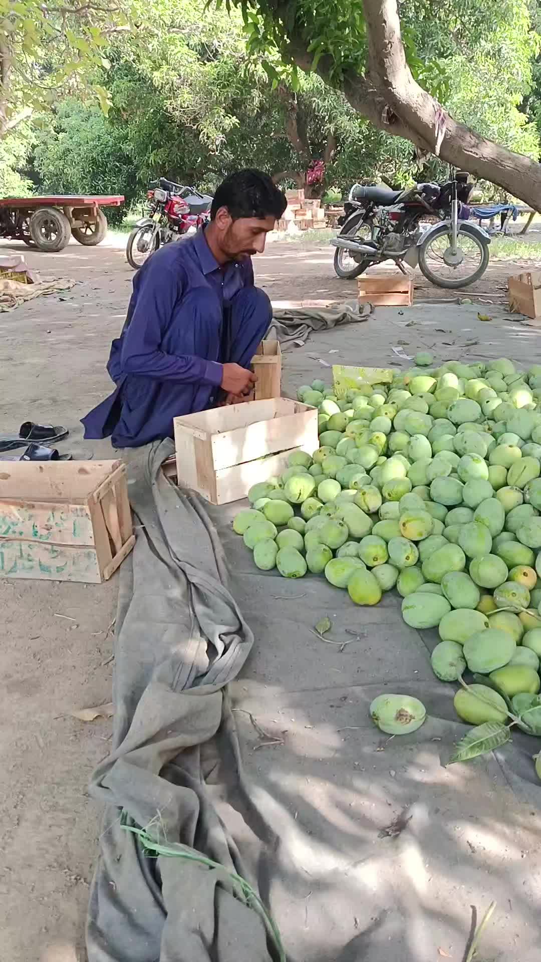 @Tanveer Leghari