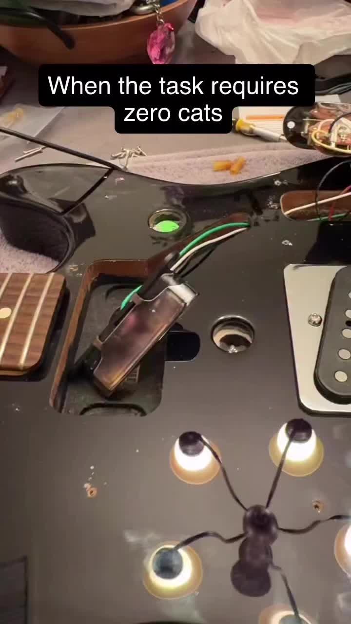 @tensbychase_hc