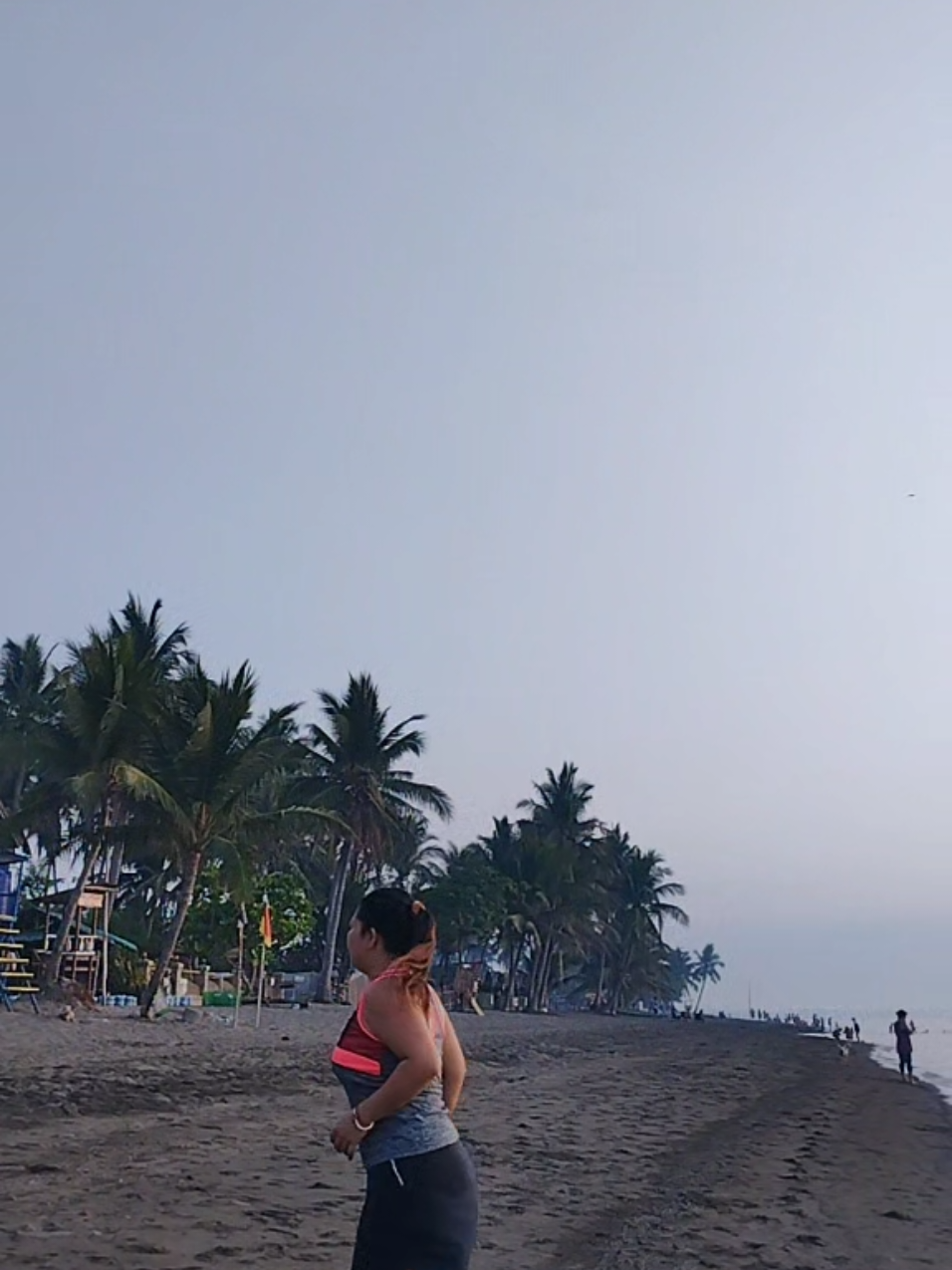 @MajoyCanicula