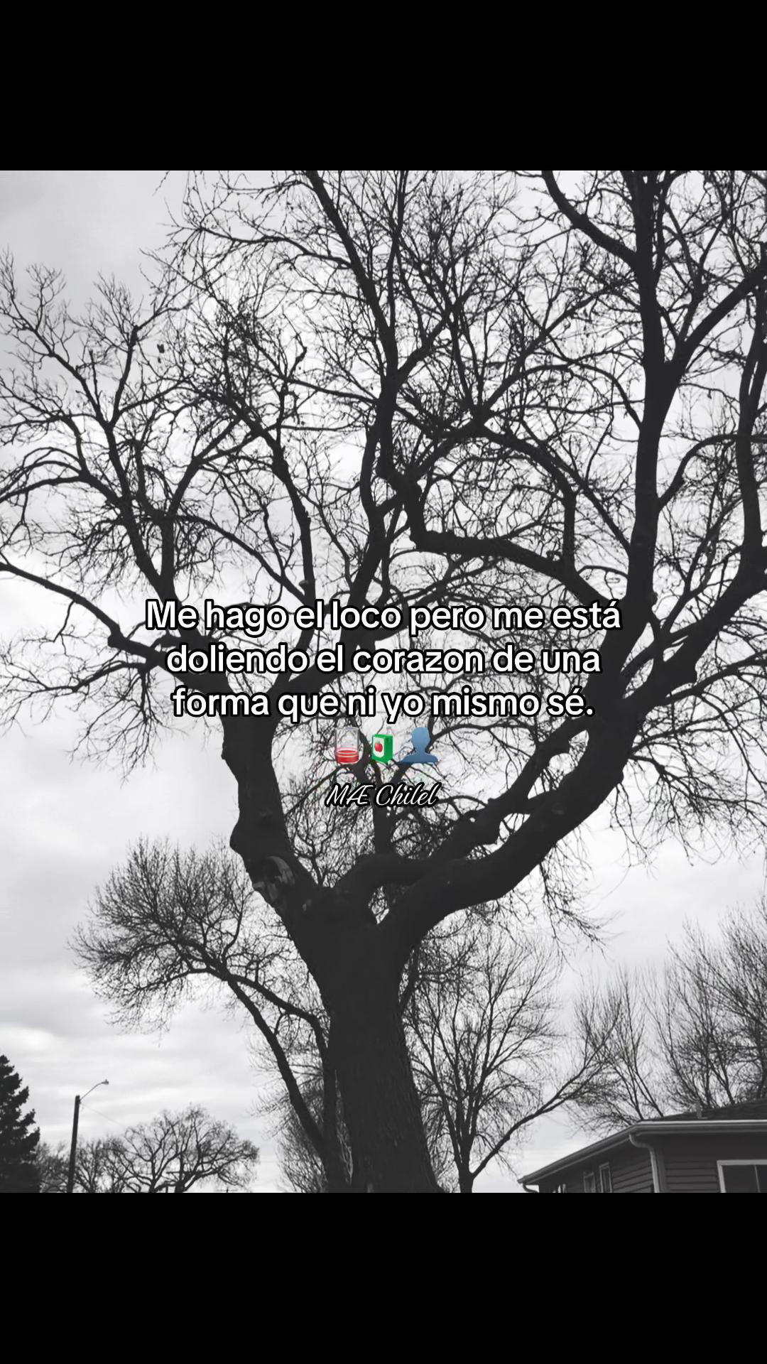 @🇬🇹<MÆ^Čhîlêl⁵⁰²🇬🇹