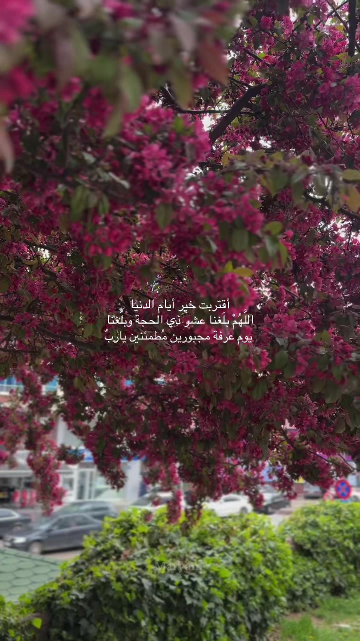 @Maryam