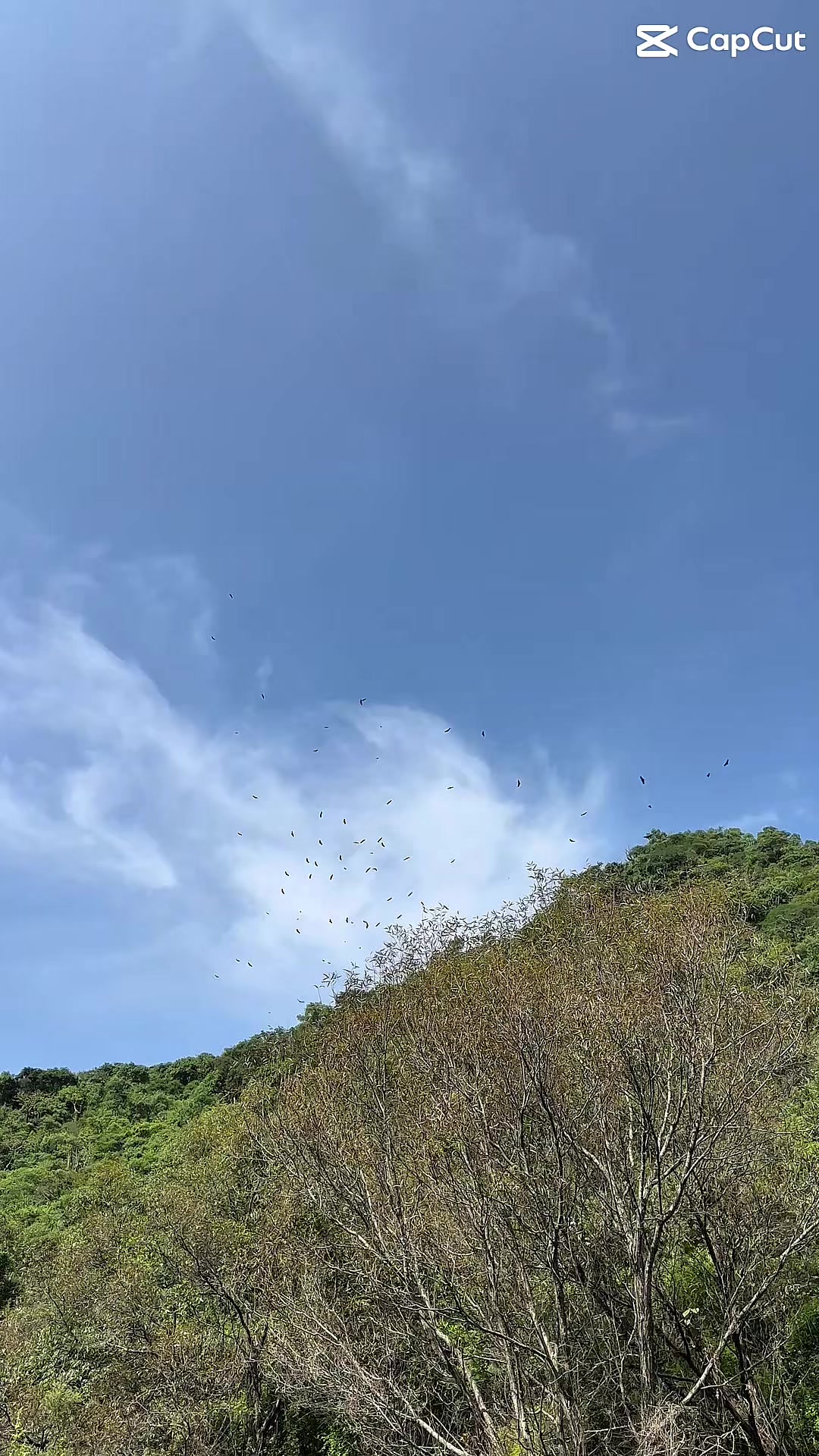 @Ivonne Sánchez Montoya