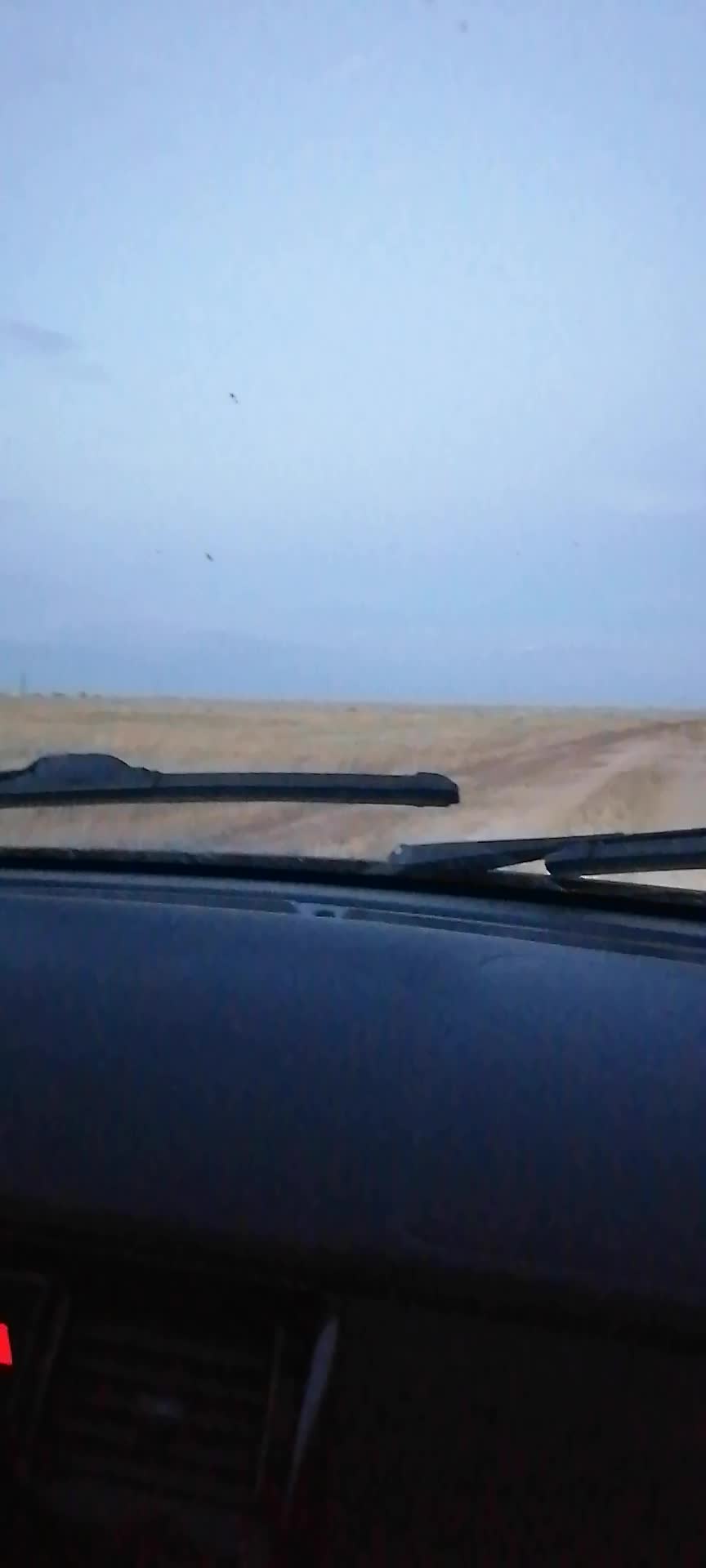 @Мария Туманова