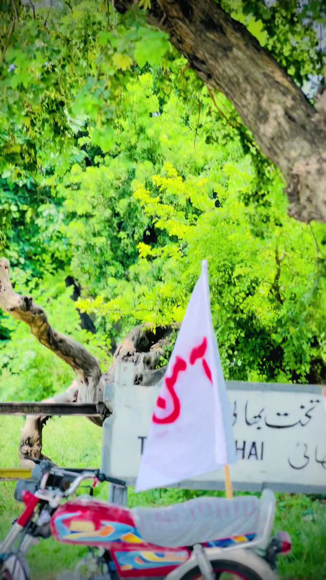 @𓆩 حارث خِیّاؔم •🎭