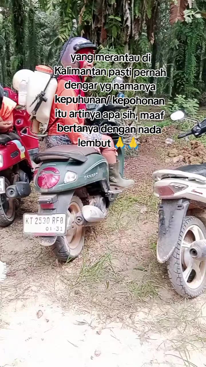 @Daryani yani