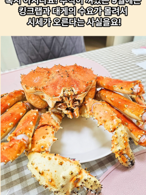 @킹크랩 대게 동해수산유통