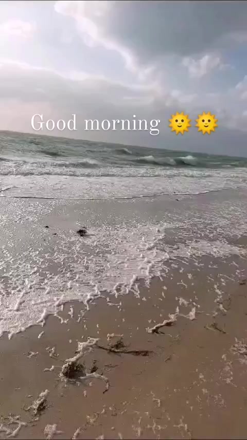 @Mouh Mouhamed