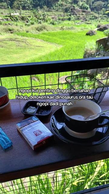 @Mas lut