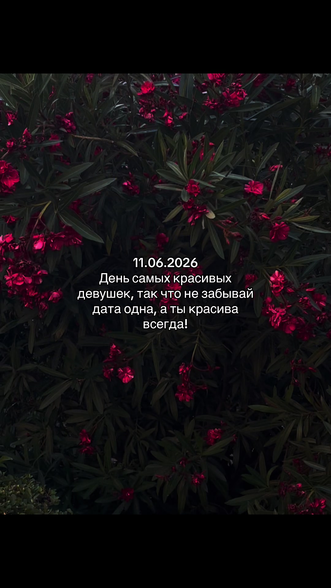 @С𝗲𝗿𝗱𝗰𝗲m 𝓭𝓵𝔂𝓪 𝓽𝓮b𝔂a