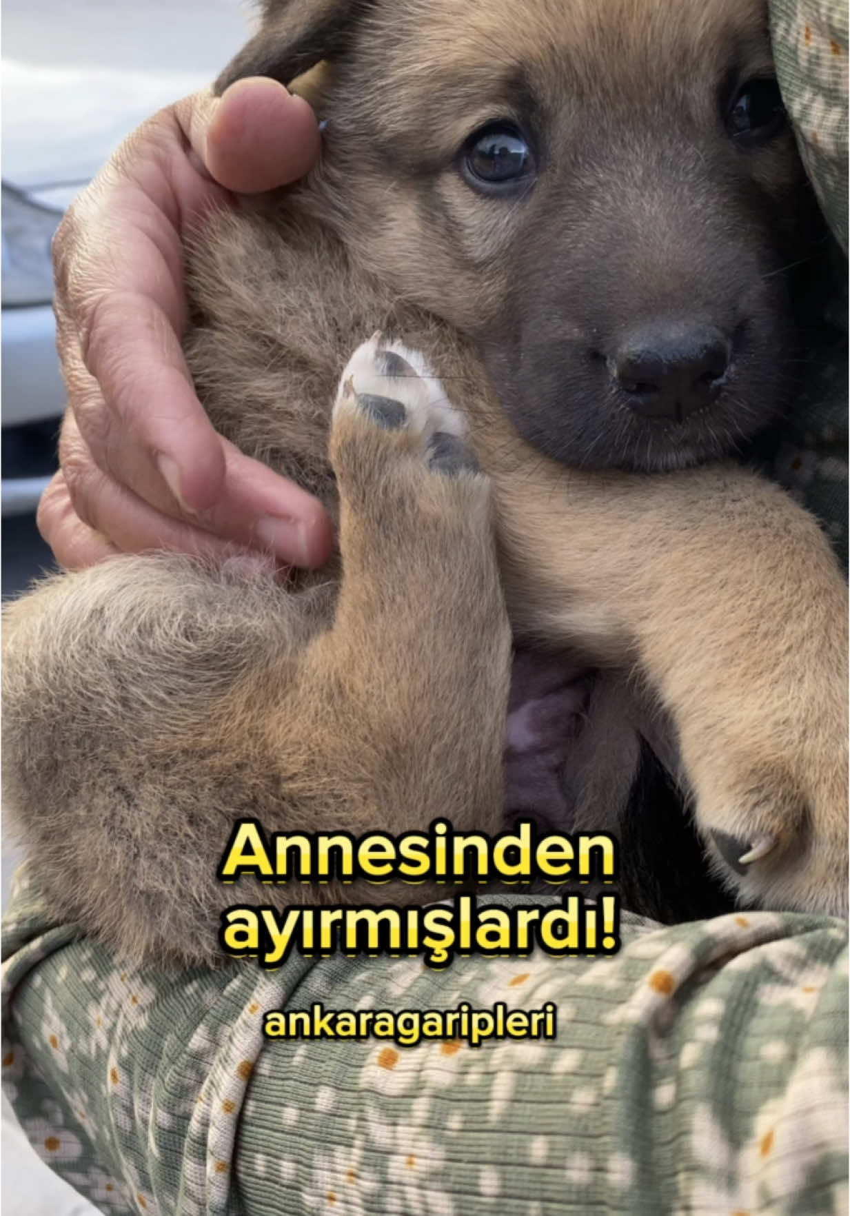 @Asiye