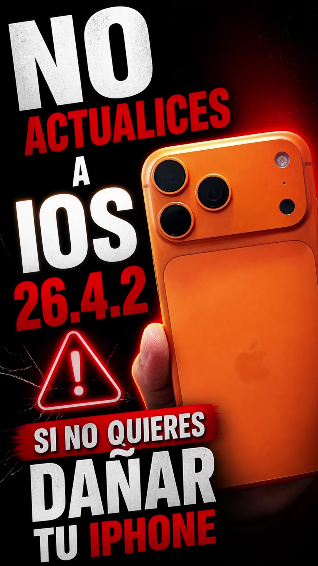 @MarmotaTorres