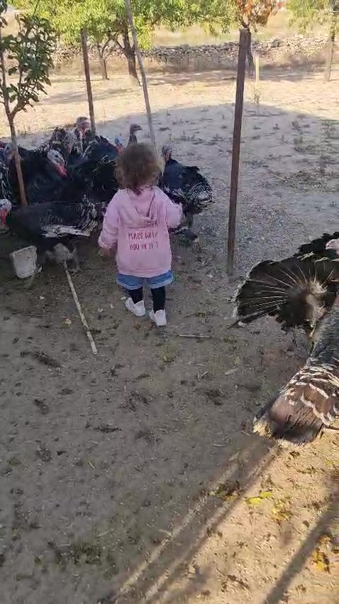 @DUYGU GÜVEN ÜLKÜ