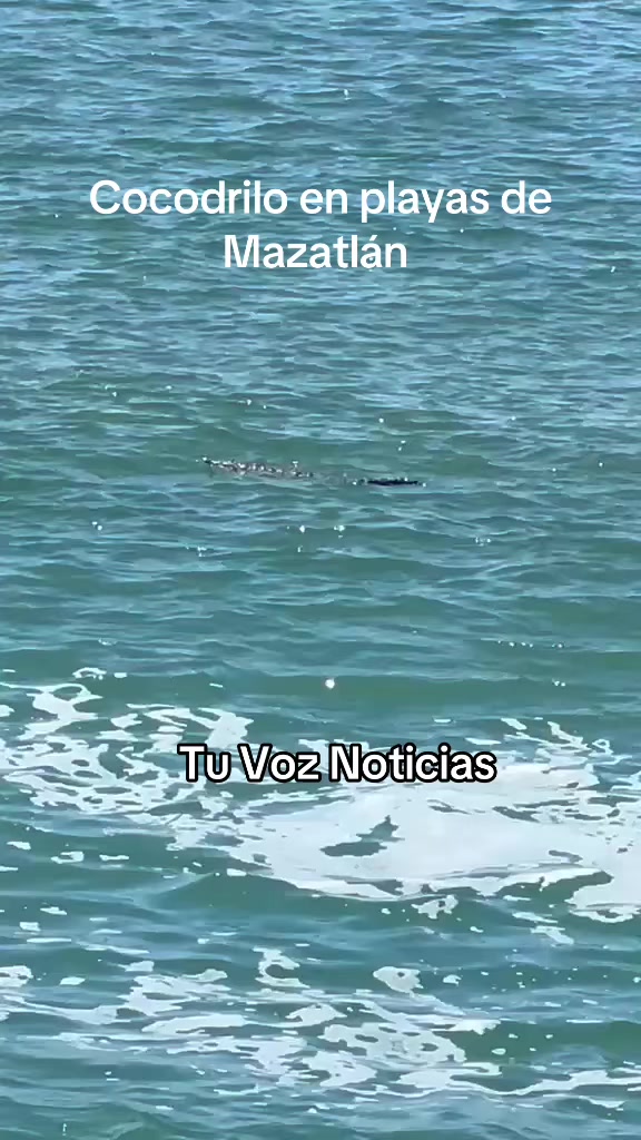 @Tu Voz Noticias