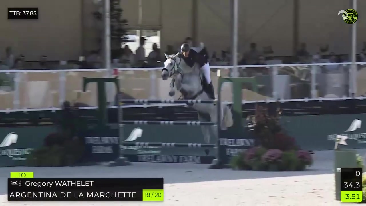 @Major League Show Jumping