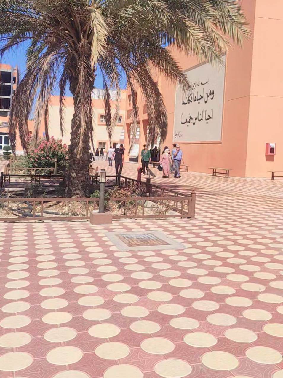 @آيــــة الـقـيـســــي
