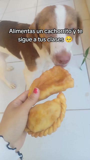 @Miel 🤍