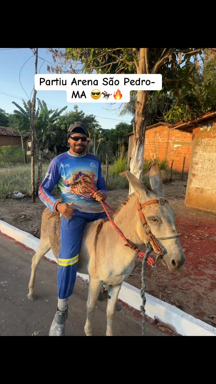 @Camaleão69🦎