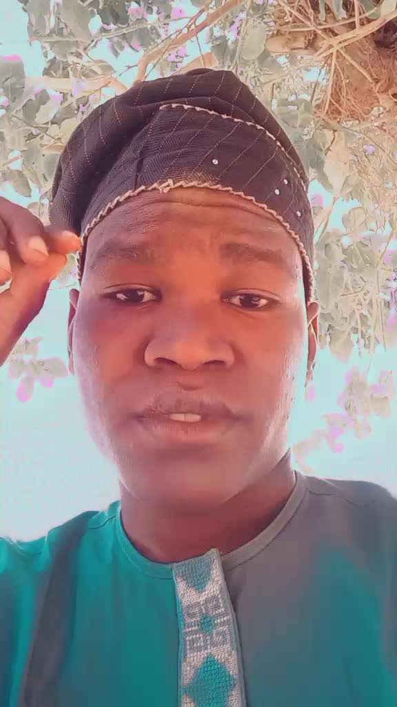 @ecboy_backups