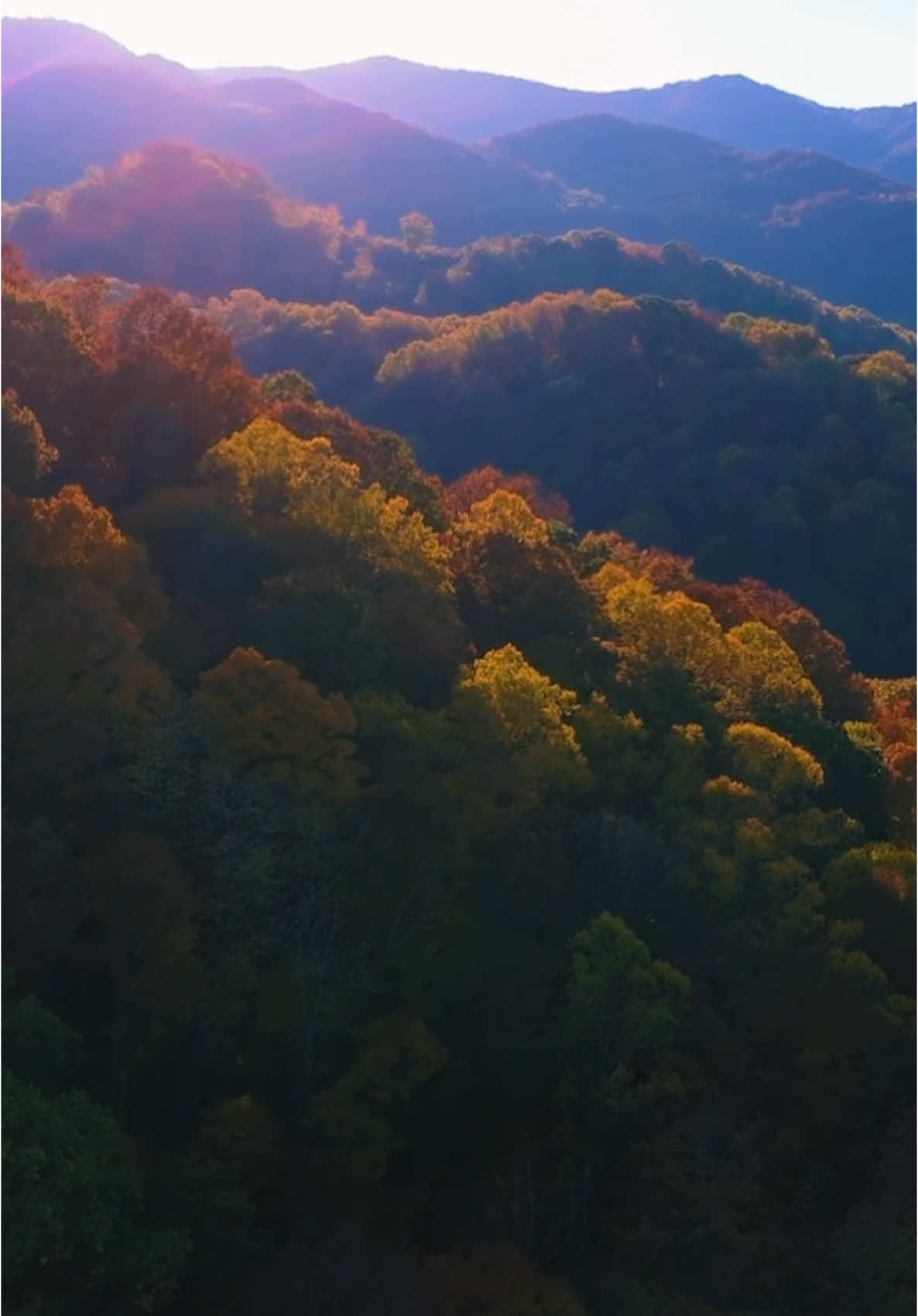@avldrone