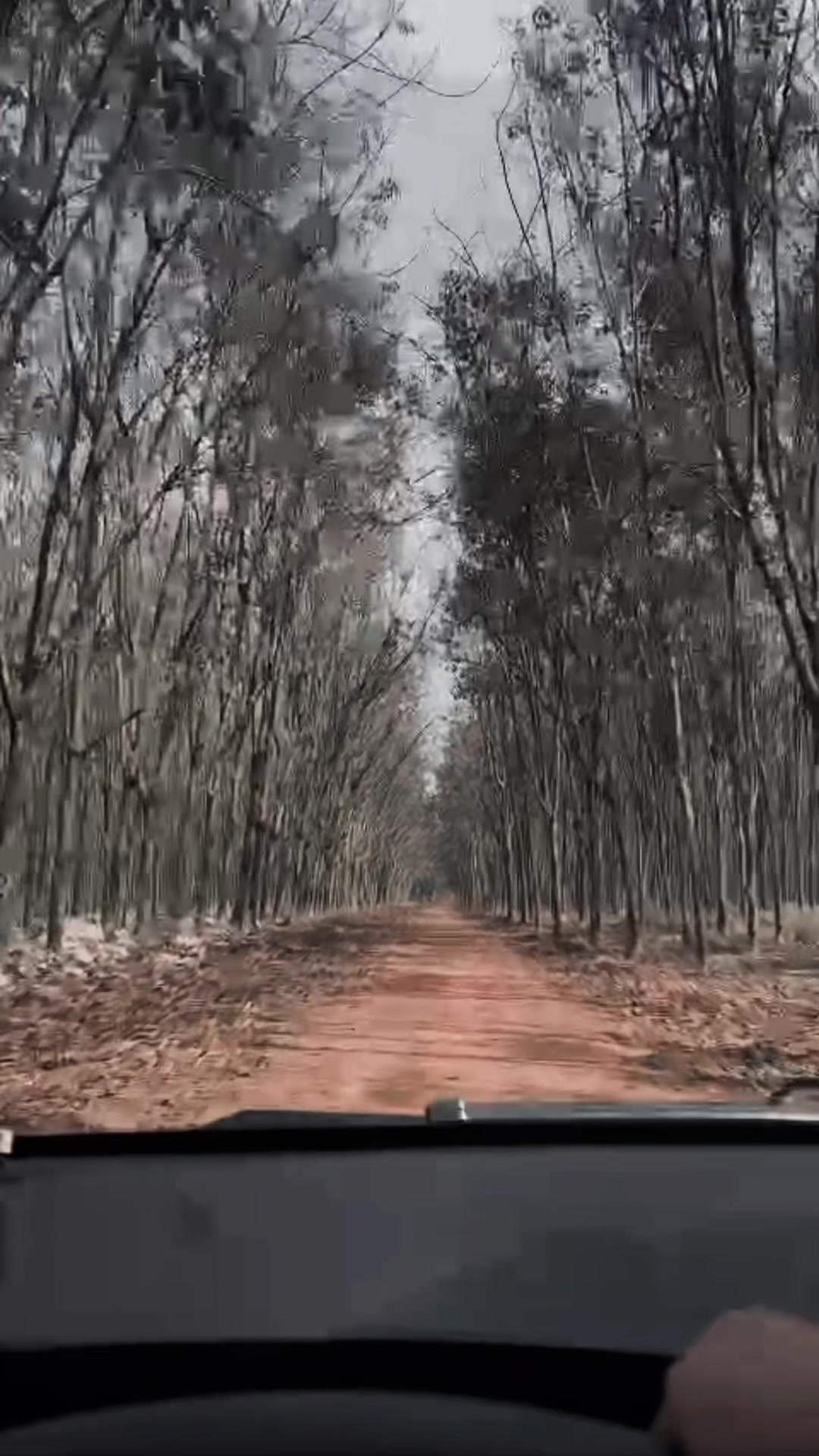 @Phạm Hoài Đăng
