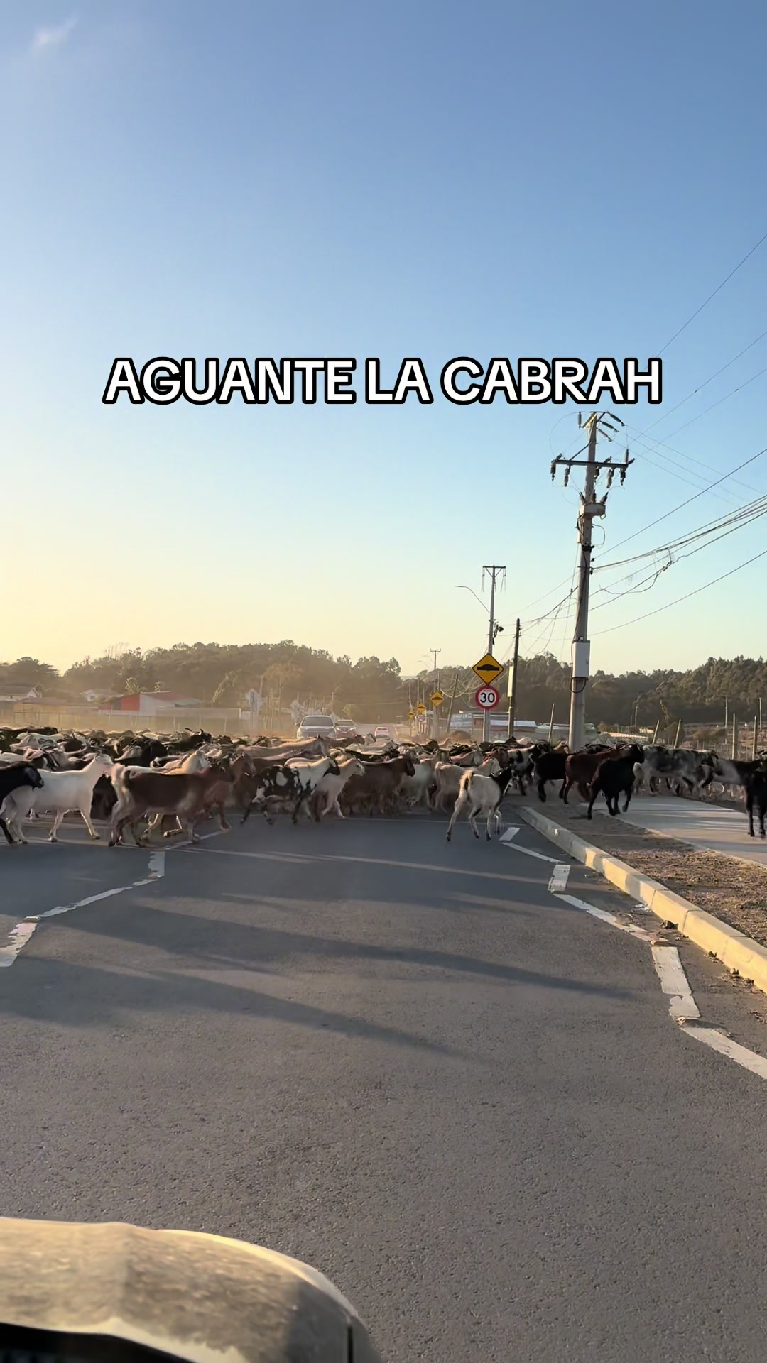 @Macarena Andrea