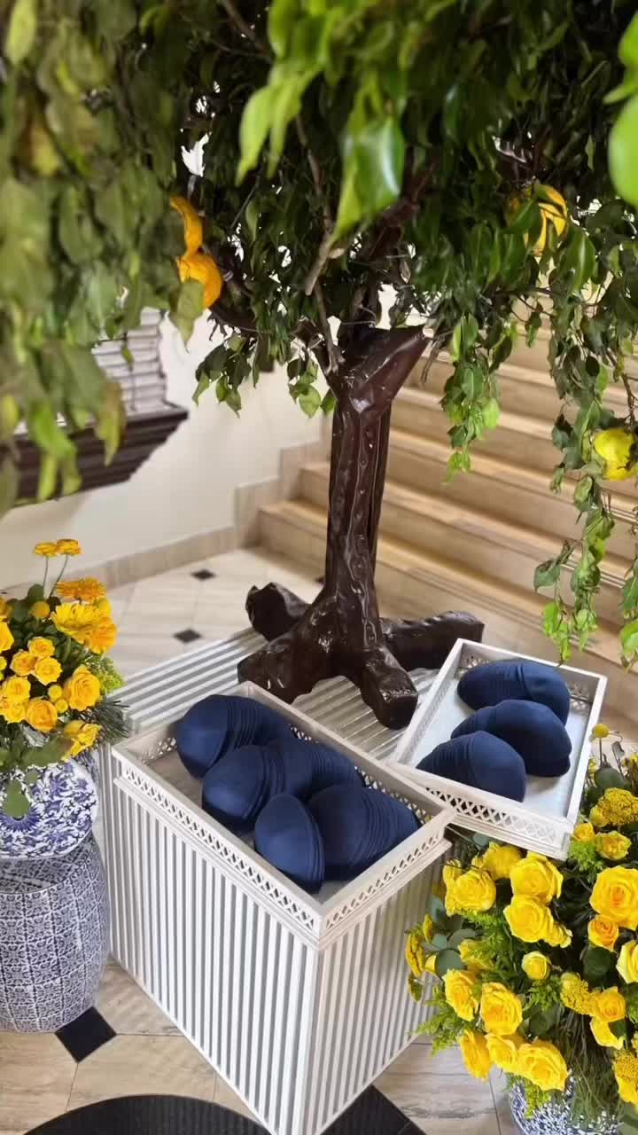 @kippotworld