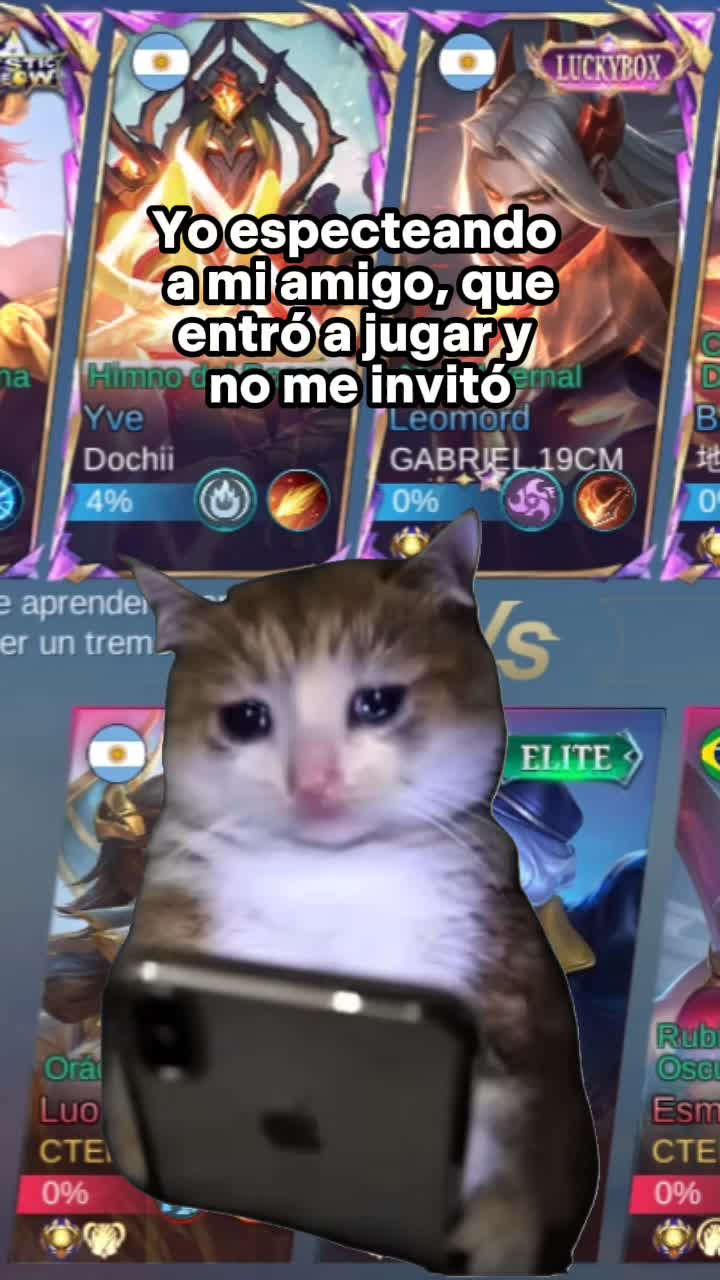 @Tavito.
