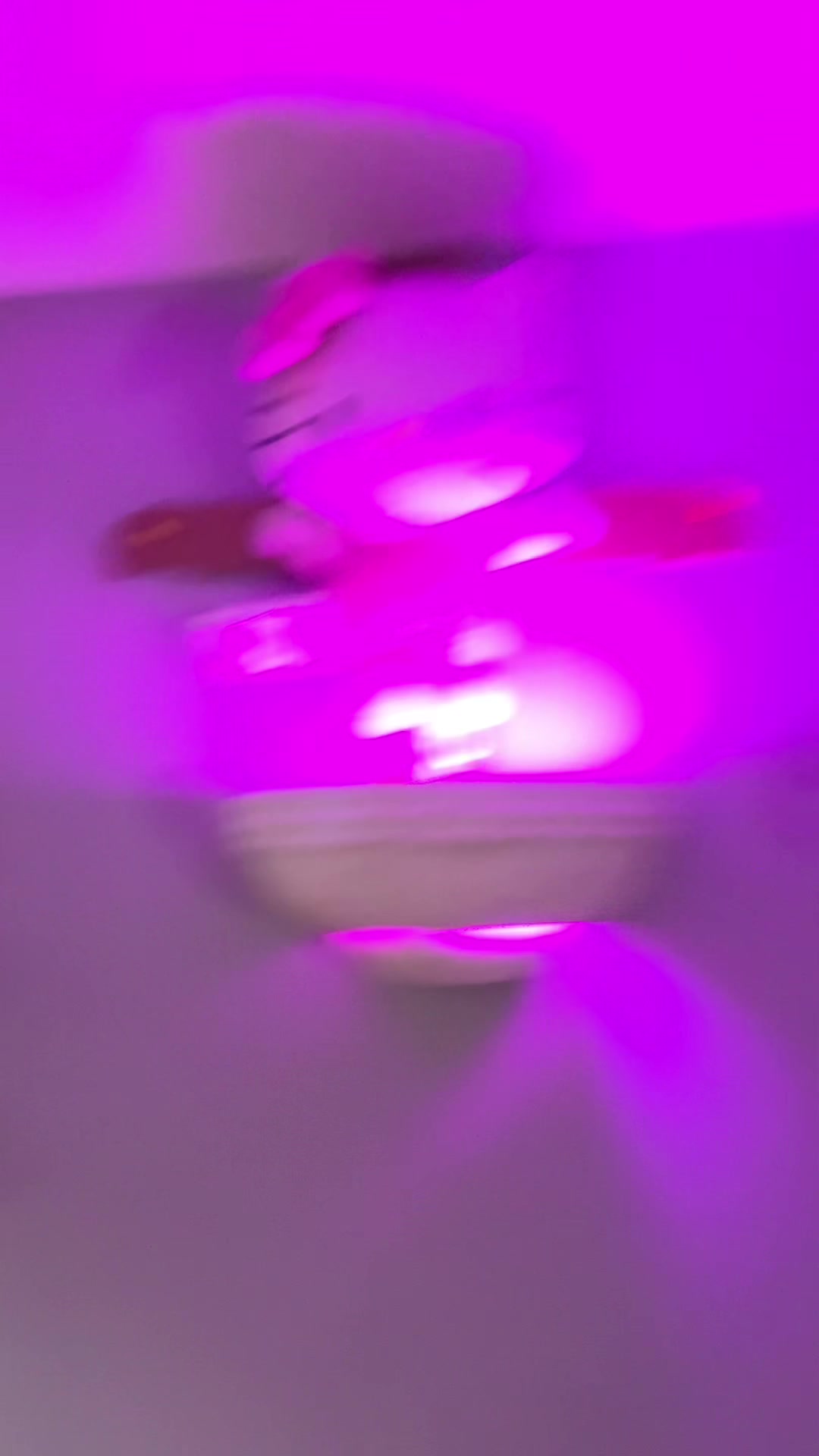 @finnley