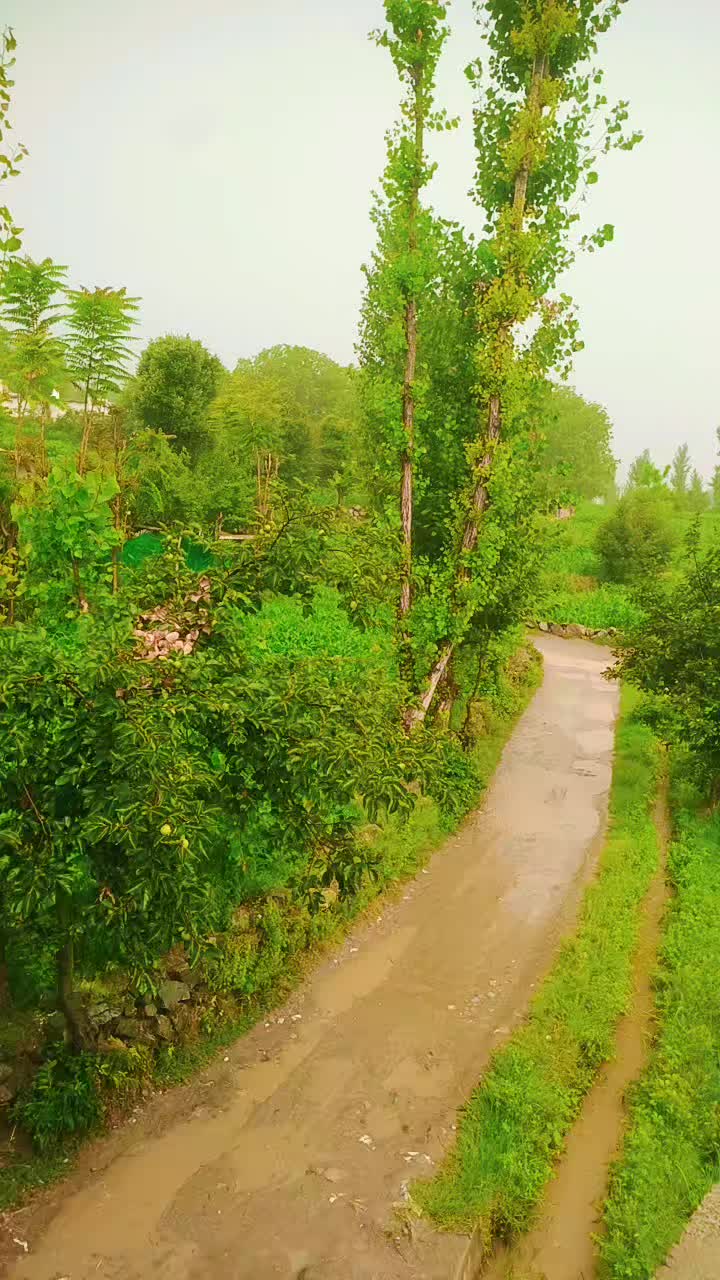 @Shahzadkhan804
