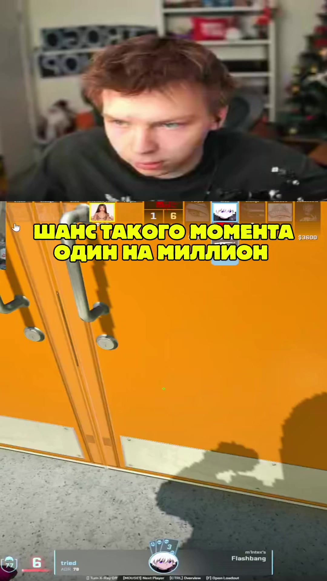 @ЧаХлео Твич