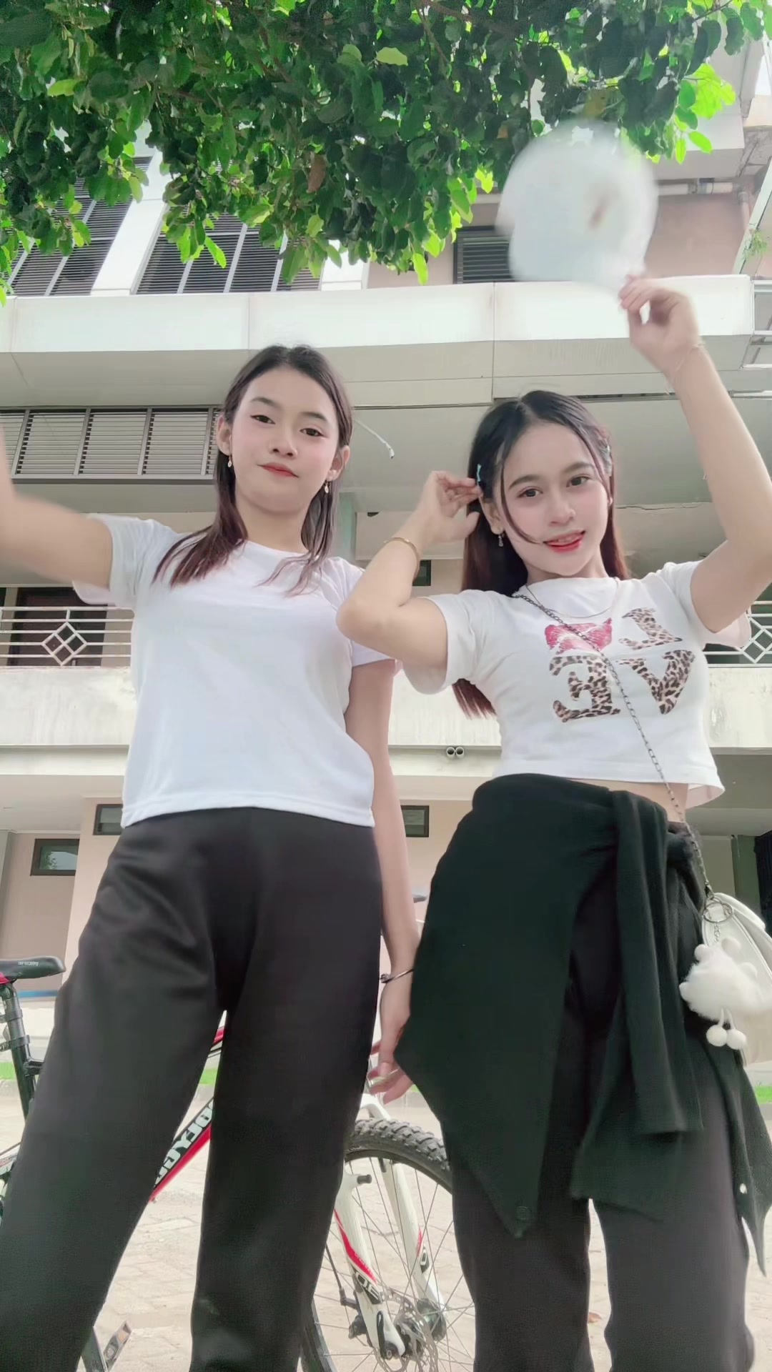 @noviaa