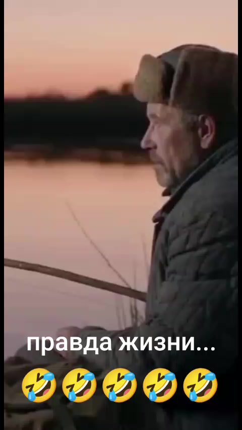 @Дэнчик Кэт