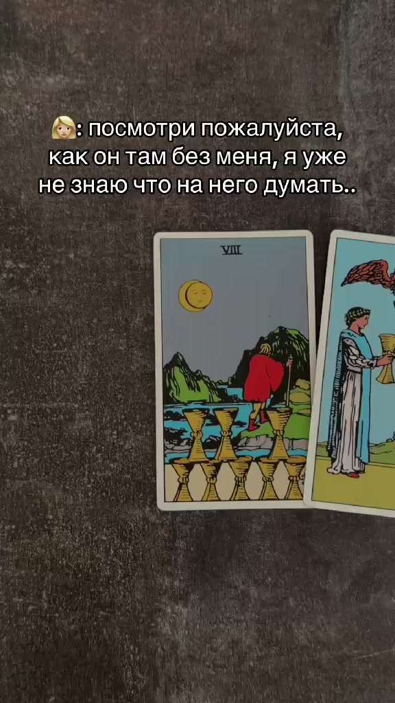 @тг: mvikamv_taro