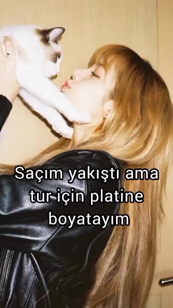 @believeblink.bp
