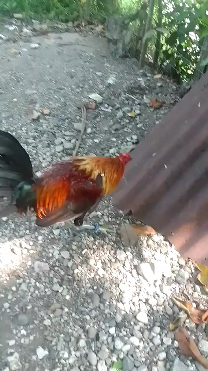 @🔐💘🔐